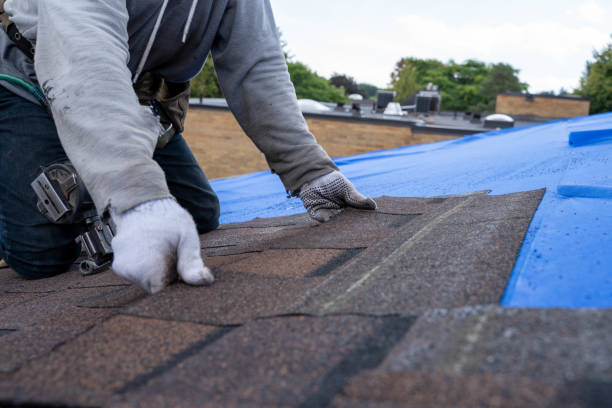 Professional Roofing Contractor in Livingston, TX