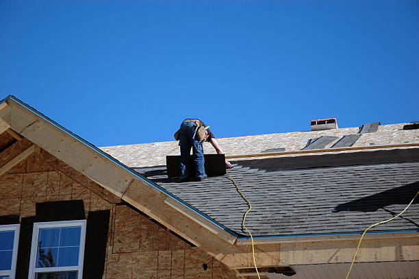 Roof Gutter Cleaning in Livingston, TX