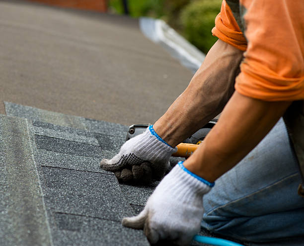Best Gutter Installation and Roofing  in Livingston, TX